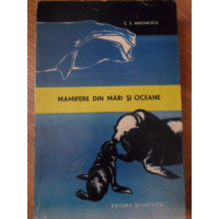MAMIFERE DIN MARI SI OCEANE MAMIFERE DIN MARI SI OCEANE