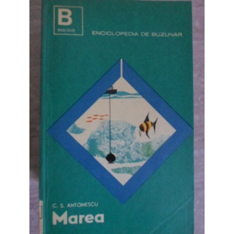 MAREA
