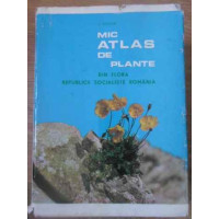 MIC ATLAS DE PLANTE DIN FLORA ROMANIEI MIC ATLAS DE PLANTE DIN FLORA ROMANIEI
