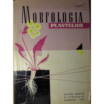 MORFOLOGIA PLANTELOR