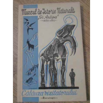 MUZEUL DE ISTORIE NATURALA GR. ANTIPA. CALAUZA VIZITATORULUI