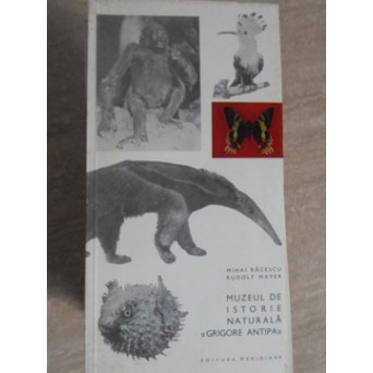 MUZEUL DE ISTORIE NATURALA GRIGORE ANTIPA