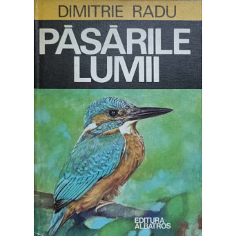 PASARILE LUMII