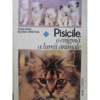 PISICILE, O ENIGMA A LUMII ANIMALE