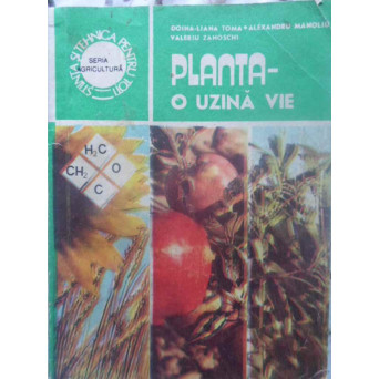 PLANTA - O UZINA VIE