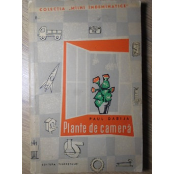 PLANTE DE CAMERA