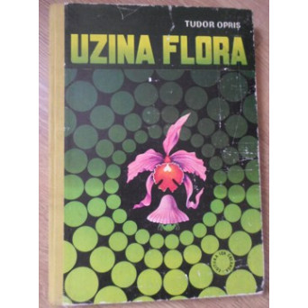 UZINA FLORA