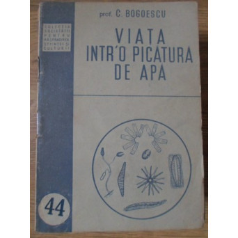 VIATA INTR-O PICATURA DE APA