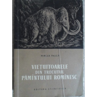 VIETUITOARELE DIN TRECUTUL PAMANTULUI ROMANESC
