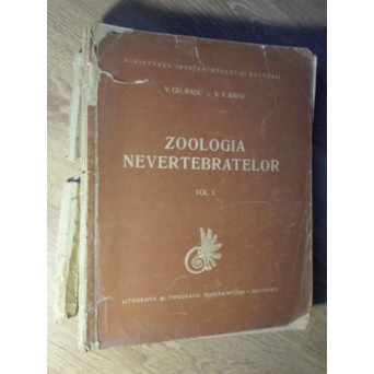 ZOOLOGIA NEVERTEBRATELOR VOL.1 PROTOZOARE, SPONGIERI, CELENTERATE, ETC. (TREBUIE RELEGATA)