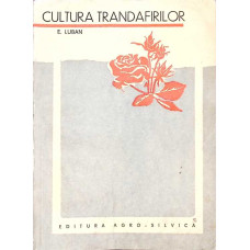 Cultura trandafirilor