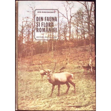 DIN FAUNA SI FLORA ROMANIEI
