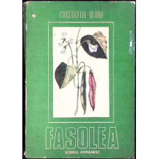 FASOLEA - BIOLOGIA SI TEHNOLOGIA CULTURII
