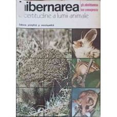 HIBERNAREA O CERTITUDINE A LUMII ANIMALE