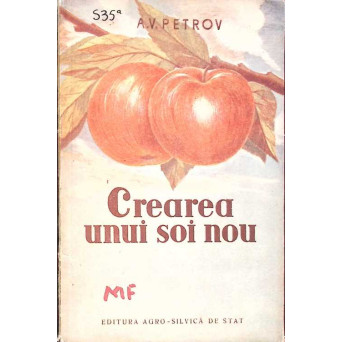 CREAREA UNUI SOI NOU CREAREA UNUI SOI NOU
