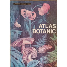 ATLAS BOTANIC