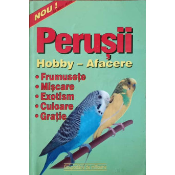 PERUSII. HOBBY-AFACERE