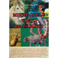 MIRACOLELE VIETII PE PAMANT MIRACOLELE VIETII PE PAMANT