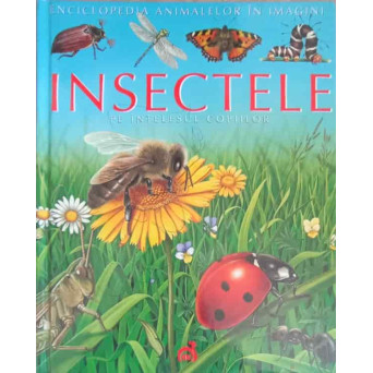 INSECTELE PE INTELESUL COPIILOR