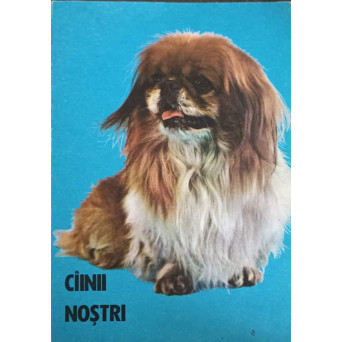 CAINII NOSTRI. BULETIN DOCUMENTAR AUGUST-DECEMBRIE-1984