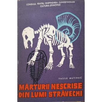 MARTURII NESCRISE DIN LUMI STRAVECHI