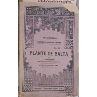 PLANTE DE BALTA PLANTE DE BALTA