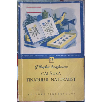 CALAUZA TANARULUI NATURALIST