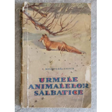 URMELE ANIMALELOR SALBATICE