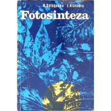 FOTOSINTEZA