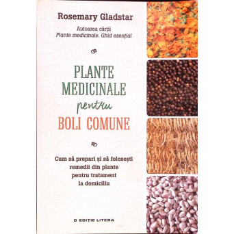PLANTE MEDICINALE PENTRU BOLI COMUNE