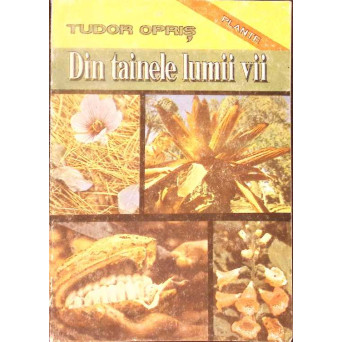 DIN TAINELE LUMII VII VOL.1 PLANTE
