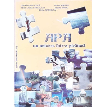 APA UN UNIVERS INTR-O PICATURA