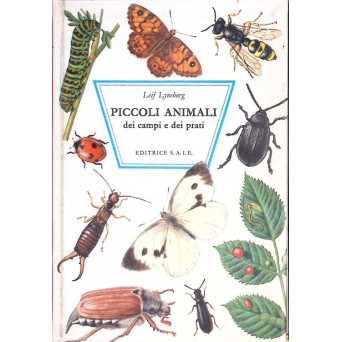 PICCOLI ANIMALI DEI CAMPI E DEI PRATI