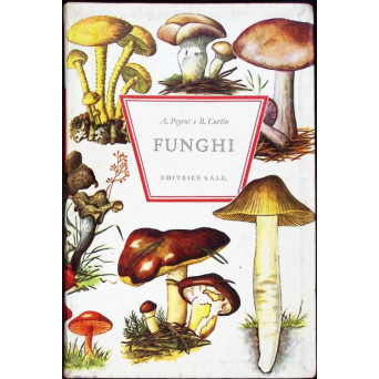 FUNGHI