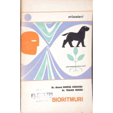 BIORITMURI