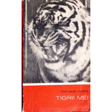 TIGRII MEI