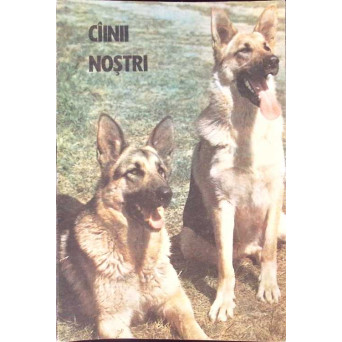 CAINII NOSTRI - AUGUST 1985
