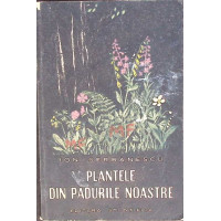 PLANTELE DIN PADURILE NOASTRE