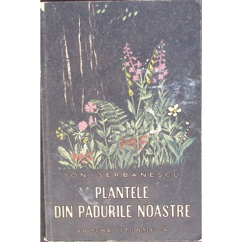 PLANTELE DIN PADURILE NOASTRE