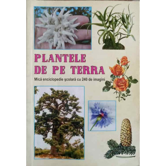 PLANTELE DE PE TERRA