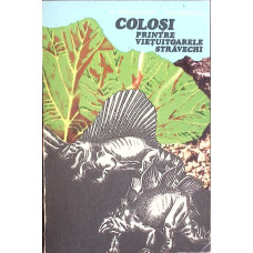 COLOSI PRINTRE VIETUITOARELE STRAVECHI