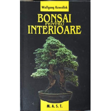 BONSAI PENTRU INTERIOARE