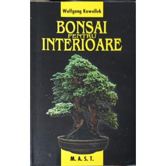 BONSAI PENTRU INTERIOARE