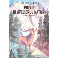 PRIVIRI IN ATELIERUL NATURII