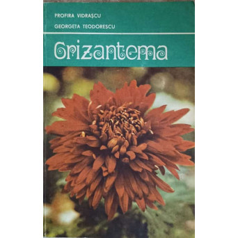 CRIZANTEMA