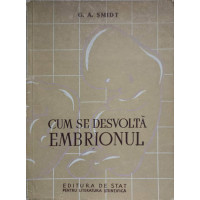 CUM SE DESVOLTA EMBRIONUL CUM SE DESVOLTA EMBRIONUL