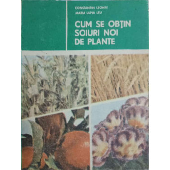 CUM SE OBTIN SOIURI NOI DE PLANTE