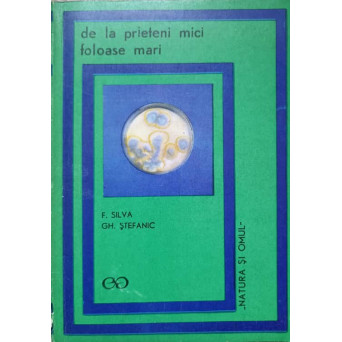 DE LA PRIETENI MICI FOLOASE MARI