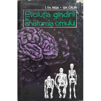 EVOLUTIA GANDIRII IN ANATOMIA OMULUI