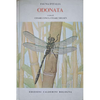 FAUNA D'ITALIA VOL.1 ODONATA 